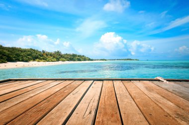 İskele, sahil ve orman - tatil arka plan