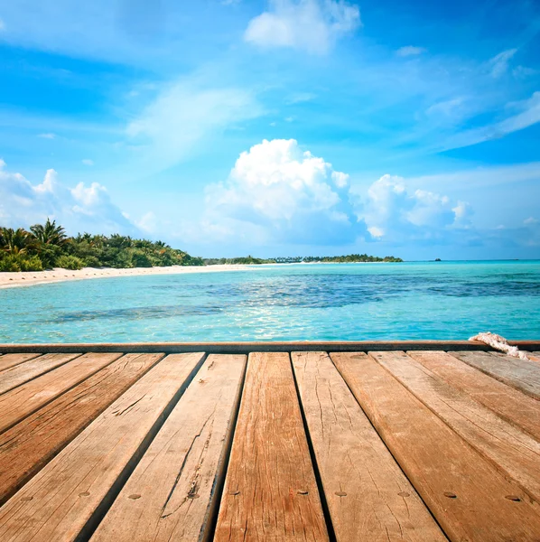 İskele, sahil ve orman - tatil arka plan