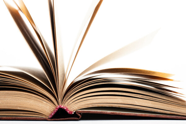 Открытая книга на белом фоне