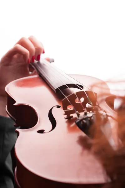 Tocando violino no fundo branco — Fotografia de Stock