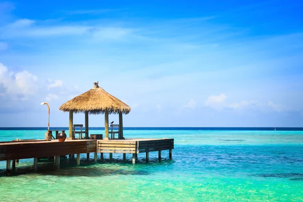 su bungalovlar şaşırtıcı içine adımlar ile yeşil lagün üzerinde