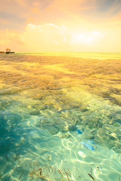 Agua de mar azul tropical — Foto de Stock