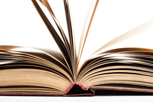 Открытая книга
