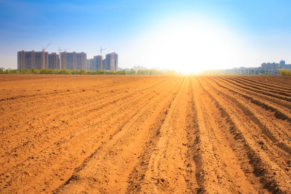 Pôr do sol sobre o campo arado — Fotografia de Stock