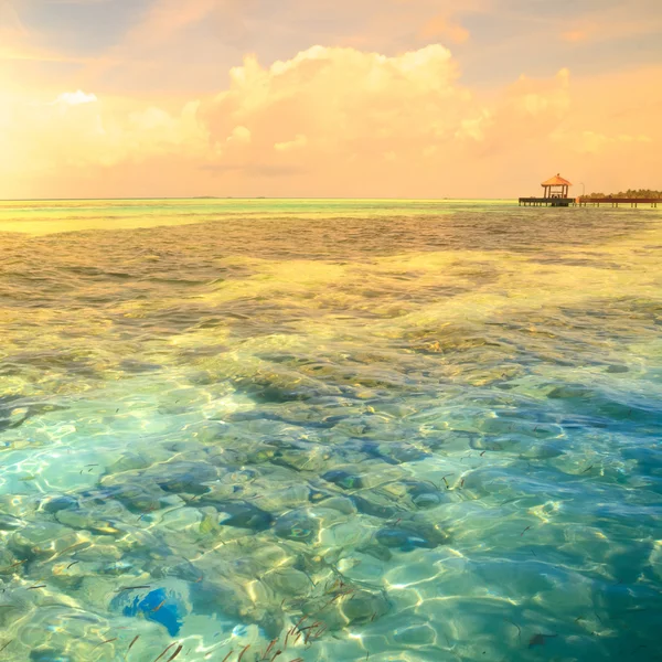 Acqua tropicale blu di mare — Foto Stock