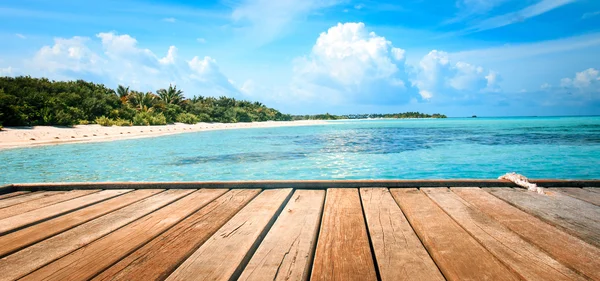 Steiger, strand en jungle - vakantie achtergrond — Stockfoto