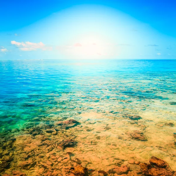 Tropical resort beach. Summer background — Stock Photo, Image
