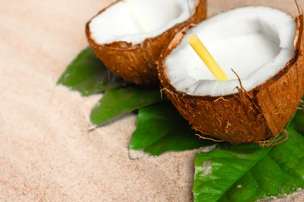 Coconut on the sand beach — Stock Photo, Image