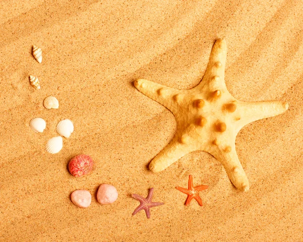 Starfish and shells on the sand — Stock Photo, Image