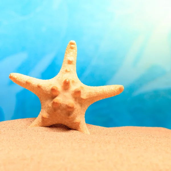 Starfish on the clean golden sand — Stock Photo, Image