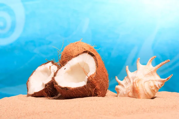 Chopped coconut on sea-beach background — Stock Photo, Image