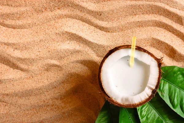 Coconut on the sand beach — Stock Photo, Image