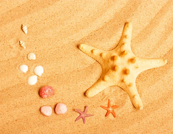 Starfish and shells on the sand — Stock Photo, Image