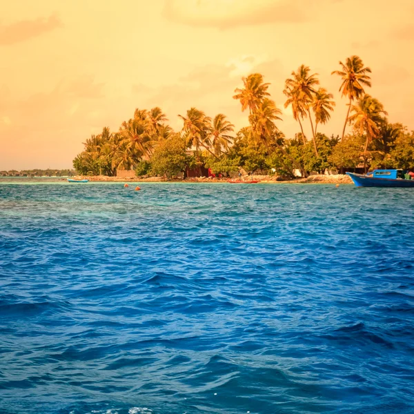 Landscape of tropical island beach with palm trees — Stock Photo, Image