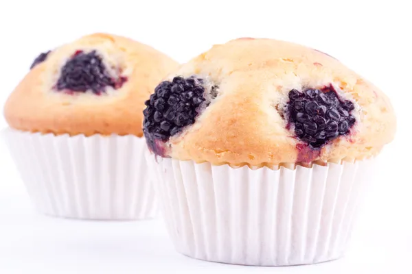 Blackberry muffins — Stock Photo, Image