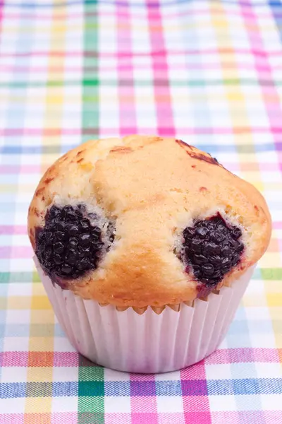 Muffins βατόμουρων — Φωτογραφία Αρχείου