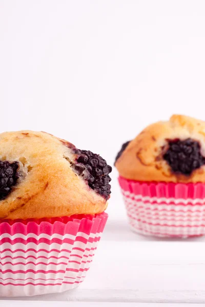 Brombeermuffins — Stockfoto