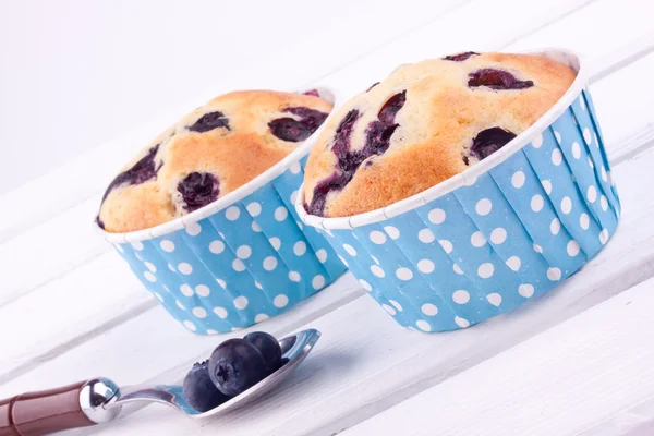 Muffin ai mirtilli — Foto Stock