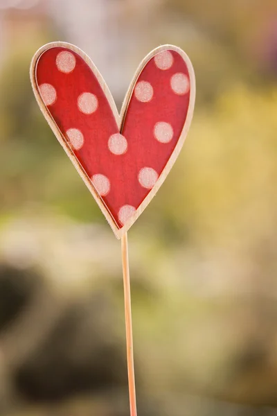 Forma del cuore — Foto Stock