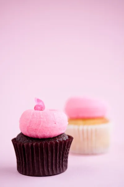 Cupcakes — Stockfoto