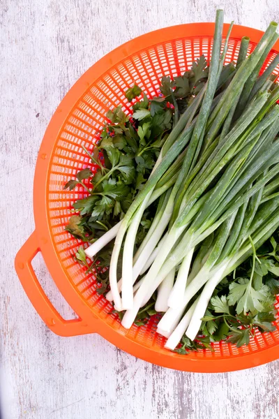 Spring onion and parsley — Stock Photo, Image