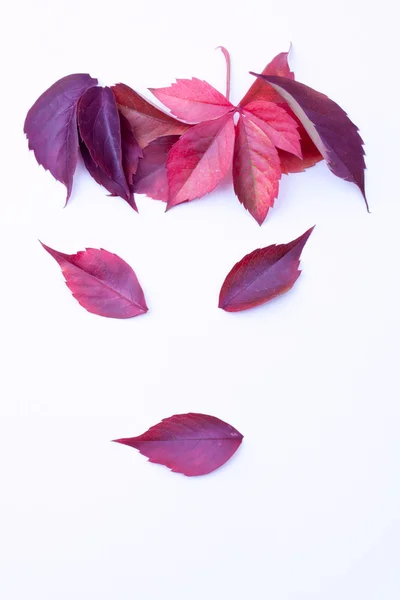 Visage sur les feuilles — Photo