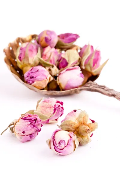 Brotes de rosa secos — Foto de Stock