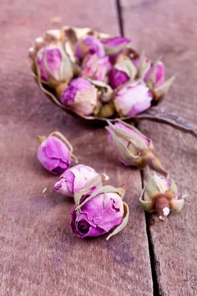 Dried rose buds — Stock Photo, Image