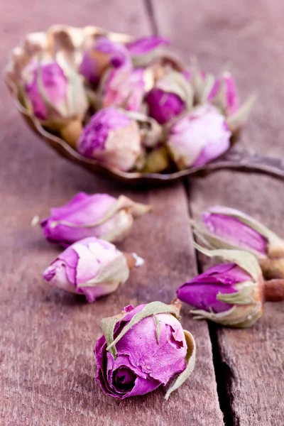 Dried rose buds — Stock Photo, Image