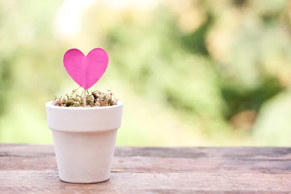 Coração rosa — Fotografia de Stock