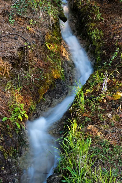 Um riacho de montanha — Fotografia de Stock