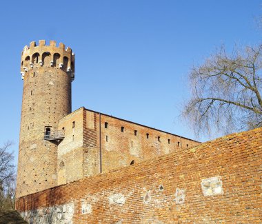 swiecie yılında Germen Ortaçağ Kalesi