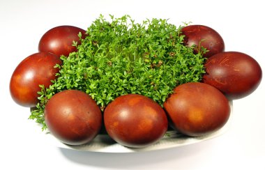 Paskalya yumurta ve tere