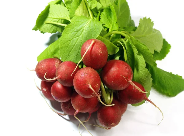 Radish — Stock Photo, Image