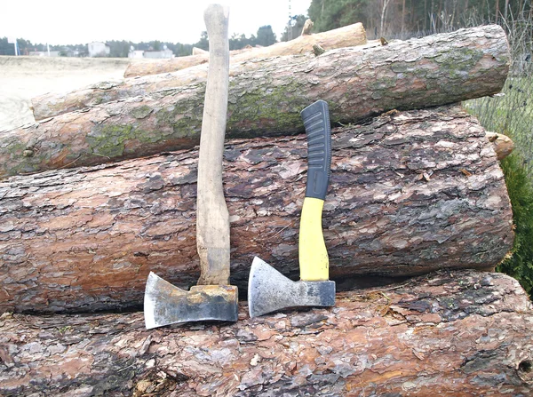 Holzscheit mit der feststeckenden Axt — Stockfoto