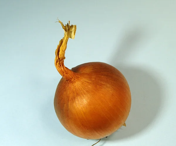 Onion — Stock Photo, Image