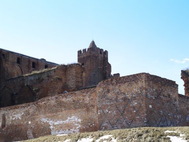 Şato radzyn chelminski