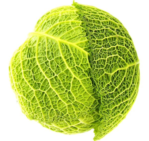 Savoy cabbage isolated on white — Stock Photo, Image