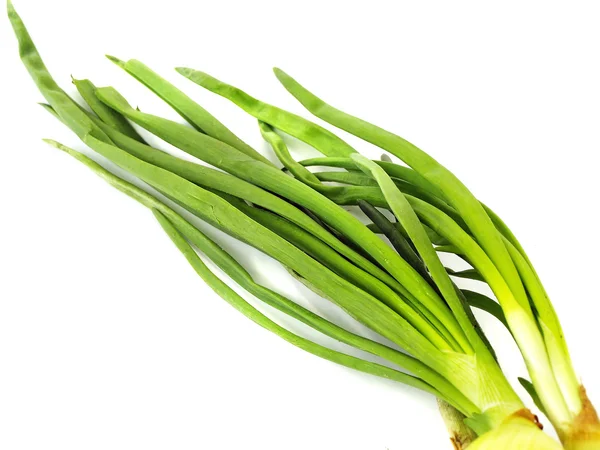 Chive fresca aislada en blanco — Foto de Stock