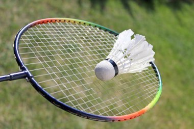 badminton shuttlecocks on racket