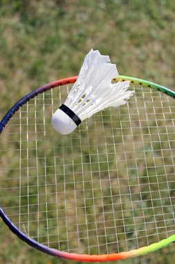 badminton shuttlecocks on racket