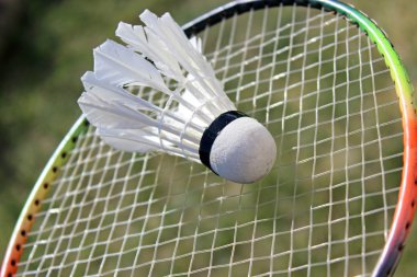 badminton shuttlecocks on racket