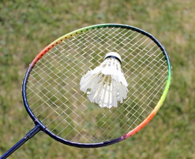 badminton shuttlecocks on racket