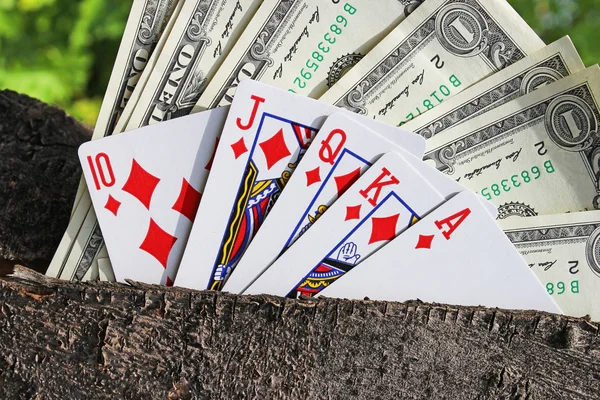 钱树和玩扑克牌 — 图库照片