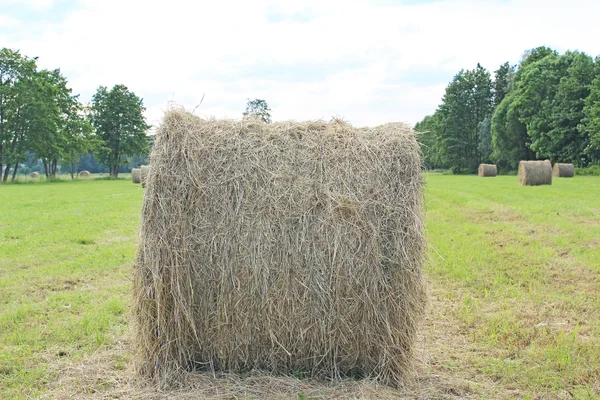 Hooibalen op het veld na de oogst — Stockfoto