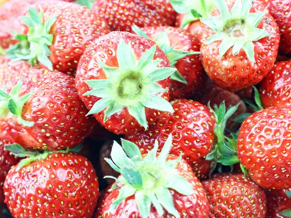 Fragola isolata su sfondo bianco — Foto Stock