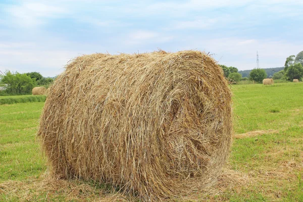 Fardos de heno en el campo después de la cosecha —  Fotos de Stock