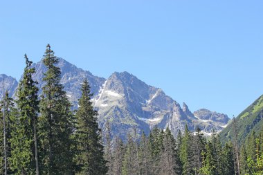 Peyzaj dağlar tatry Polonya