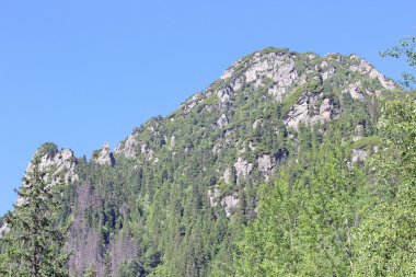 Peyzaj dağlar tatry Polonya