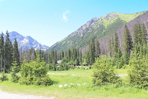 Paisagem de montanhas tatry Polônia — Fotografia de Stock